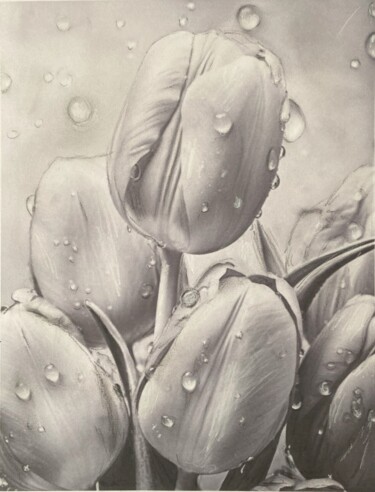 Drawing titled "Tulips" by Alicia Lopez, Original Artwork, Charcoal