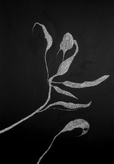 Tekening getiteld "Secret Garden 3" door Alina Aldea, Origineel Kunstwerk, Inkt Gemonteerd op Frame voor houten brancard