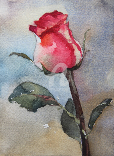 Картина под названием "Rose" - Alina Shangina, Подлинное произведение искусства, Акварель