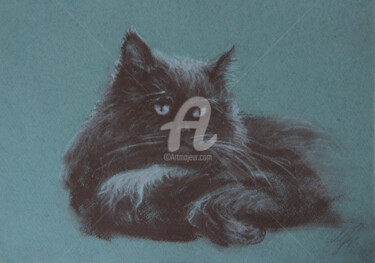 Dessin intitulée ""BARSIK CAT" ORIGIN…" par Alina Shangina, Œuvre d'art originale, Fusain