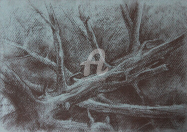 Malarstwo zatytułowany „Siberian snag” autorstwa Alina Shangina, Oryginalna praca, Węgiel drzewny