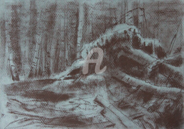 Disegno intitolato "Siberian taiga - th…" da Alina Shangina, Opera d'arte originale, Carbone