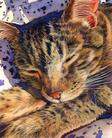 Painting titled "CAT BELLA" by Alina Shangina, Original Artwork, Watercolor