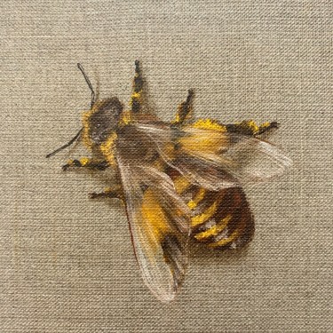 Peinture intitulée ""Honey bee", 15x15…" par Alina Marsovna, Œuvre d'art originale, Huile