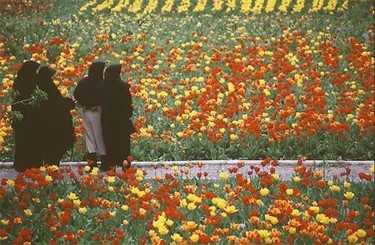 Photographie intitulée "Téhéran" par Alireza Firouzi, Œuvre d'art originale