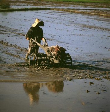 Photographie intitulée "Mazandaran" par Alireza Firouzi, Œuvre d'art originale