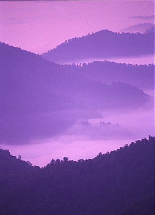 Photographie intitulée "Talesh" par Alireza Firouzi, Œuvre d'art originale