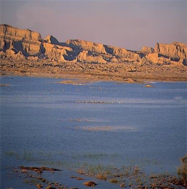 Photographie intitulée "Balouchistan" par Alireza Firouzi, Œuvre d'art originale