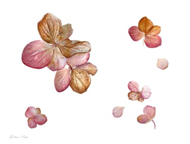Peinture intitulée "Hydrangea flowers (…" par Alisa Diakova, Œuvre d'art originale, Aquarelle