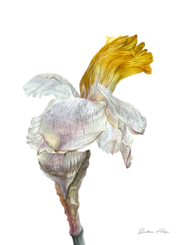 Malerei mit dem Titel "Beautiful flower Da…" von Alisa Diakova, Original-Kunstwerk, Aquarell