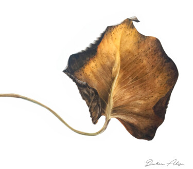 Malarstwo zatytułowany „Monstera dry leaf (…” autorstwa Alisa Diakova, Oryginalna praca, Akwarela