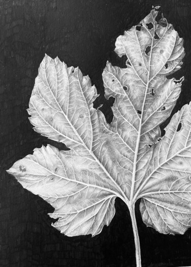 "Monochrome leaf 202…" başlıklı Resim Alisa Diakova tarafından, Orijinal sanat, Mürekkep