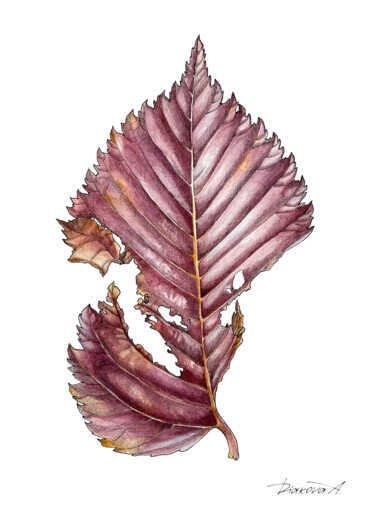 Картина под названием "Autumn leaf (2021)…" - Alisa Diakova, Подлинное произведение искусства, Акварель
