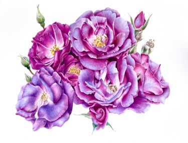 Pintura titulada "Roses “Rhapsody in…" por Alisa Diakova, Obra de arte original, Acuarela