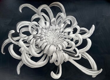 Disegno intitolato "Chrysanthemum flowe…" da Alisa Diakova, Opera d'arte originale, Grafite