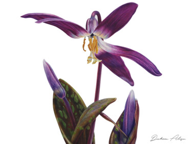 First spring flowers (2020) botanic, watercolor flower Peinture intitulée "First spring flower…" par Alisa Diakova, Œuvre d'art originale, Aquarelle
