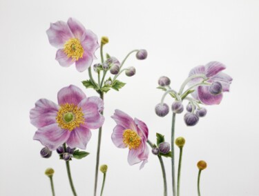 Anemones (2020) botanical watercolor Картина под названием "Anemones (2020) bot…" - Alisa Diakova, Подлинное произведение искусства, Акварель
