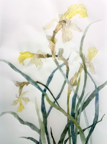 Schilderij getiteld "Fading daffodils (2…" door Alisa Diakova, Origineel Kunstwerk, Aquarel