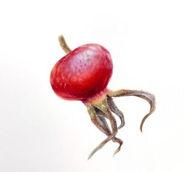 Pintura intitulada "Rosehip berry ( 16x…" por Alisa Diakova, Obras de arte originais, Aquarela