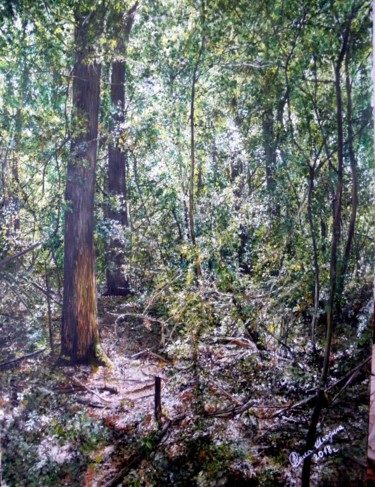 Peinture intitulée "Глуш леса" par Alisa Shkodina, Œuvre d'art originale, Huile Monté sur Châssis en bois