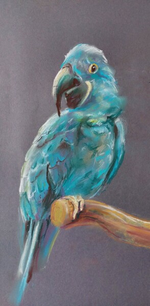 Картина под названием ""Попугайчик'" - Натали  Дидух, Подлинное произведение искусства, Пастель
