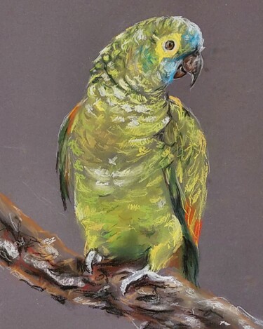 Картина под названием "'Попугайчик"" - Натали  Дидух, Подлинное произведение искусства, Пастель