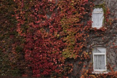 Photography titled "Autumn window" by Alis La Luna, Original Artwork
