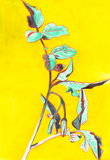 Peinture intitulée "Lycopersicon" par Alison Vignault, Œuvre d'art originale, Crayon