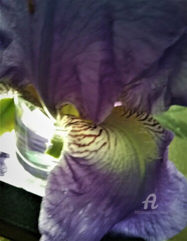 Fotografía titulada "coeur-iris3.jpg" por Claudette Allosio, Obra de arte original