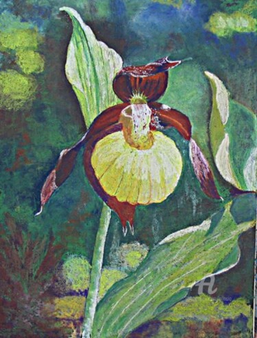 Peinture intitulée "sabot de vénus" par Claudette Allosio, Œuvre d'art originale, Pastel