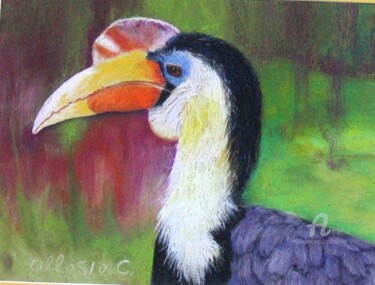 Peinture intitulée "calao bicorne" par Claudette Allosio, Œuvre d'art originale, Pastel