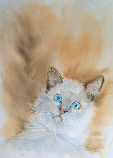 Painting titled "chaton chartreux" by Claudette Allosio, Original Artwork, Watercolor