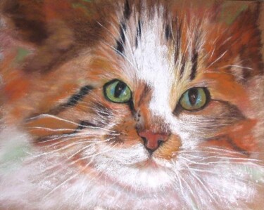 Peinture intitulée "regard felin" par Claudette Allosio, Œuvre d'art originale, Pastel