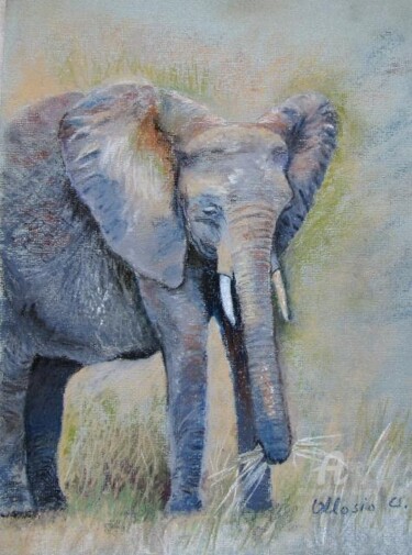 Pittura intitolato "Elephant de Tanzanie" da Claudette Allosio, Opera d'arte originale, Pastello