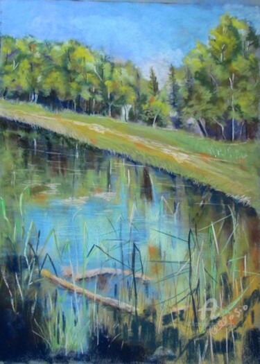 绘画 标题为“Le lac Noir” 由Claudette Allosio, 原创艺术品, 粉彩