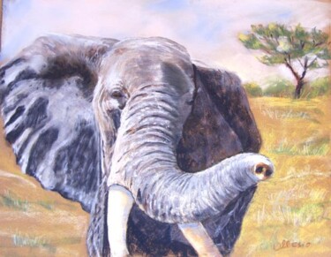 Peinture intitulée "tembo le charmeur" par Claudette Allosio, Œuvre d'art originale, Pastel