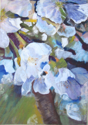 Malerei mit dem Titel "cerisier en fleurs" von Claudette Allosio, Original-Kunstwerk, Pastell