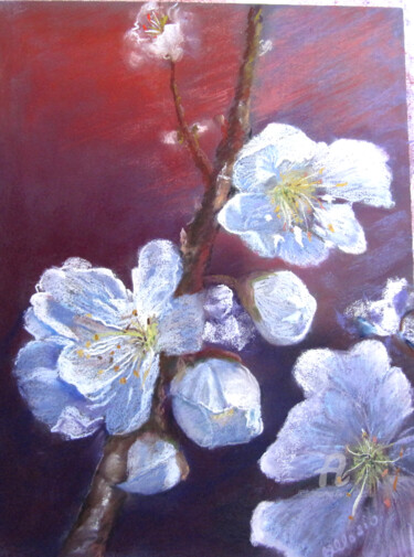Pintura titulada "fleurs de cerisier2" por Claudette Allosio, Obra de arte original, Pastel