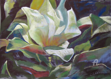 Peinture intitulée "grandiflora" par Claudette Allosio, Œuvre d'art originale, Pastel