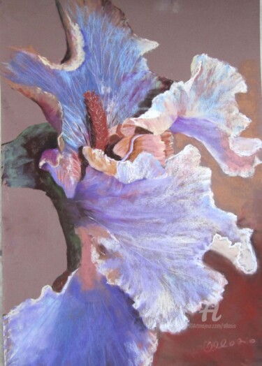 Painting titled "Dentelle d'iris" by Claudette Allosio, Original Artwork, Pastel