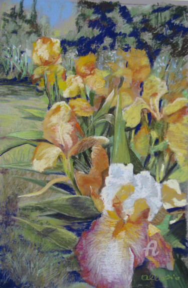 Painting titled "Au jardin des iris" by Claudette Allosio, Original Artwork, Pastel