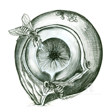 Drawing titled "Vie d'ange de l'âme" by Almakan, Original Artwork, Ink