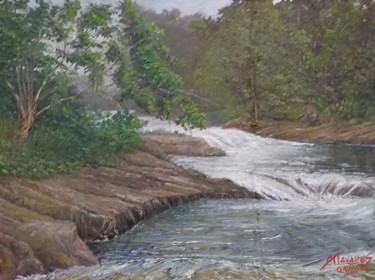 Painting titled "Cachoeira do Bracuhy" by Almir Tavares, Original Artwork, Oil Mounted on Metal
