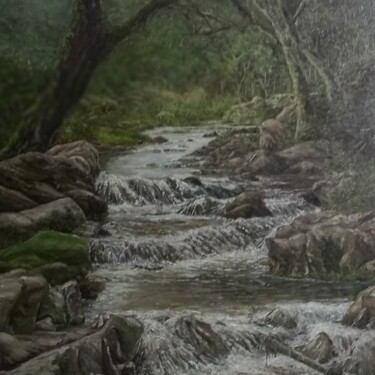 Pintura intitulada "Cachoeira do Brachuy" por Almir Tavares, Obras de arte originais, Óleo