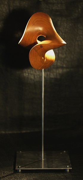 Sculpture titled "forme1.jpg" by Alper, Original Artwork, Wood