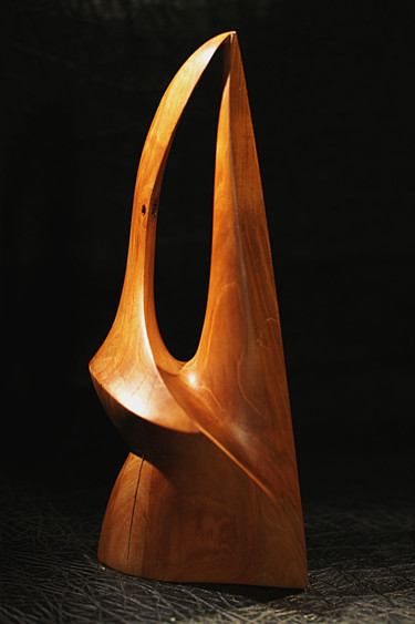 Skulptur mit dem Titel "forme2.jpg" von Alper, Original-Kunstwerk, Holz