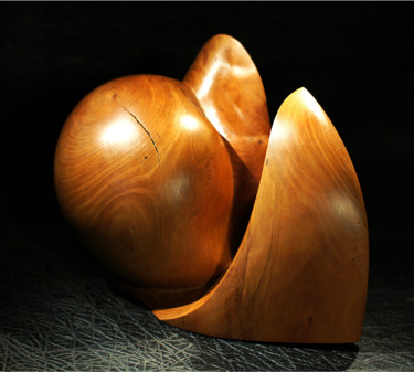 Sculpture intitulée "forme3.jpg" par Alper, Œuvre d'art originale, Bois