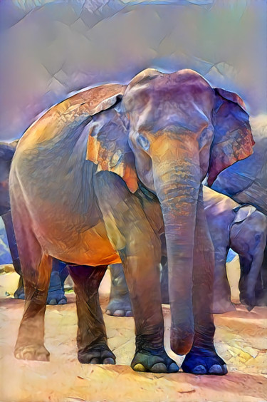 Digital Arts titled "Elephant" by Alpha Zero, Original Artwork, Digital Painting
