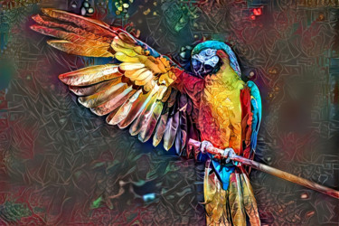 Digital Arts titled "Multicolored Parrot" by Alpha Zero, Original Artwork, Digital Painting