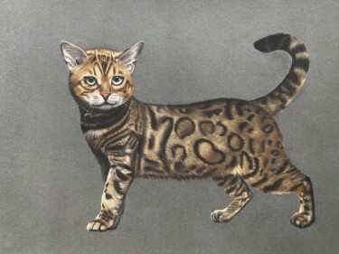 Pintura intitulada "Bengal cat" por Alsu Vagidullina, Obras de arte originais, Pastel